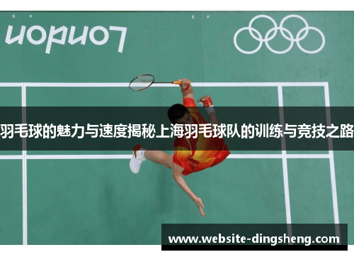 羽毛球的魅力与速度揭秘上海羽毛球队的训练与竞技之路